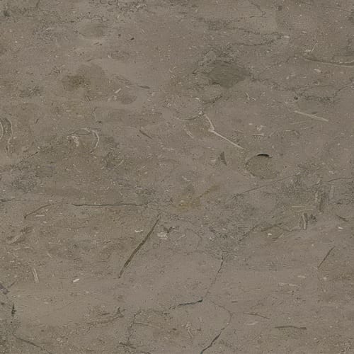 Imperial Grey Dark marble slab face, photographed for the factory catalog — mid-toned warm beige overall.
