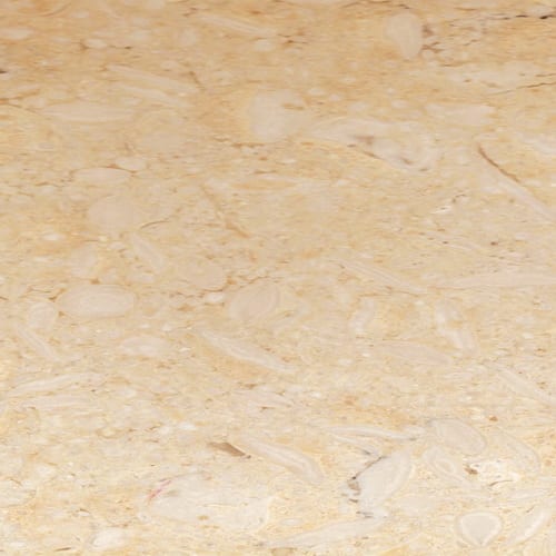 Samaha marble slab face, photographed for the factory catalog — light amber overall.