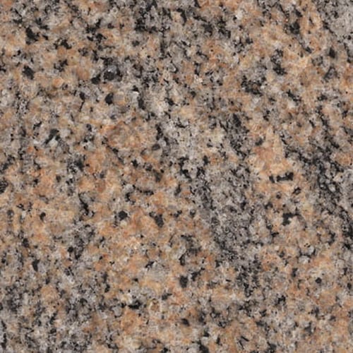 Tiger Skin granite slab face, photographed for the factory catalog — mid-toned warm beige overall.