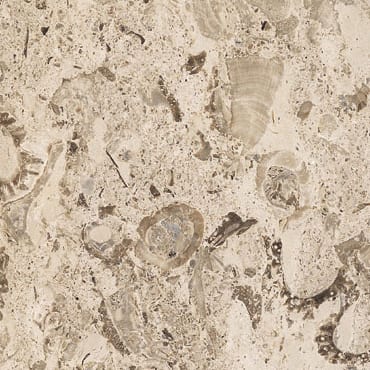 Aurisina Fiorita Lumachella marble slab face, photographed for the factory catalog — light amber overall.