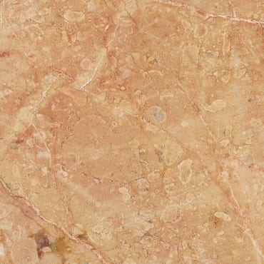 Breccia Pernice Chiara marble slab face, photographed for the factory catalog — light amber overall.