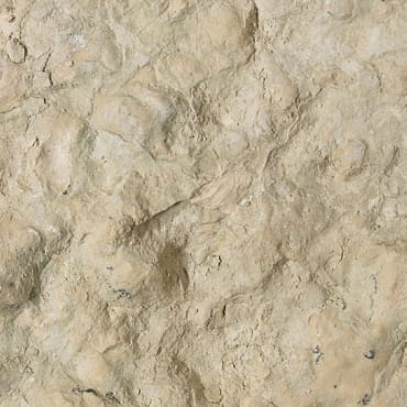 Lessinia White Rustica marble slab face, photographed for the factory catalog — light amber overall.