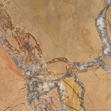 Noisette Fleury marble slab face, photographed for the factory catalog — mid-toned amber overall.